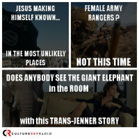 The Big Elephant in the Room with the Bruce/Caitlyn Jenner Story