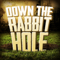 Mob Rule or the Rule of Law