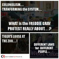What is the Freddie Gray Protest Really About...? We Have an Answer