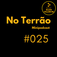 No Terrão 025 - Os novos treinadores do Steelers