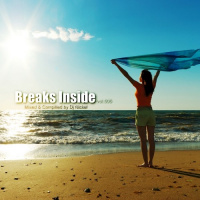 Dj Nickel - Breaks Inside vol.005