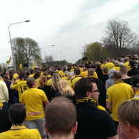 Episode 119: Vi blir Gulsvart Elegans