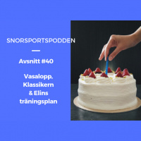 Vasalopp KlassikernElins träningsplan