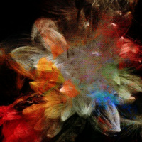 Wallys House For Life Special Delice Melodic Techhouse