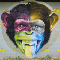 Wallys House For Life 247 TrueHouseMusic