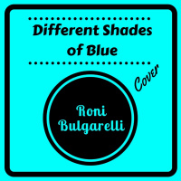 Different Shades Of Blues - Joe Bonamassa Cover