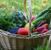 ‘Consciência é importante, modismo um perigo’