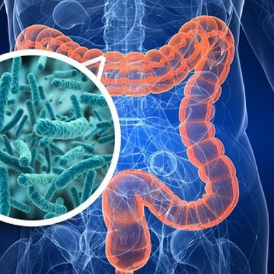 Alimentação Saudável - Janaina Goston