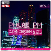 DJ Andersen ZTN - Pulse PM Vol.9