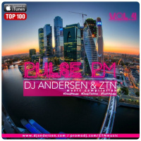 DJ Andersen  ZTN @ Pulse PM Vol.4