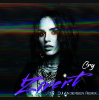 Zivert - Cry (DJ Andersen Nu Disco Mix)