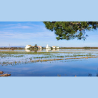 La Llavor (29/11/2025)