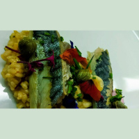 Joan Clement (28/11/2025)