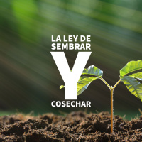 La Ley De Sembrar Y Cosechar - Parte 3