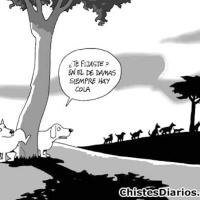 Episodio 15: Puppet filosofando