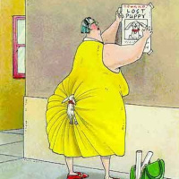 Episodio 14: La mentira de Puppet