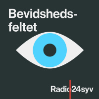 Politikeres bevidsthed om bevidsthed i sig selv.