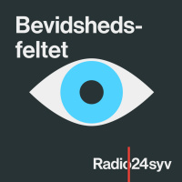 Om forskellige typer ESP - Ekstra Sensoric Perception - som lavere og højere...