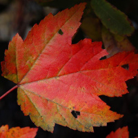 130: The Extra Hot Great Fall 2016 Preview