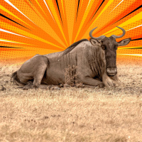 491: New Year, New Thunderdome