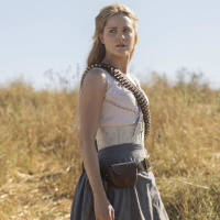 201: Now Re-Entering Westworld