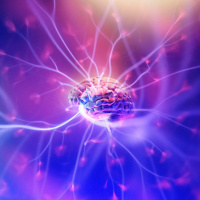 436: 2022 Guest Thought Experiments