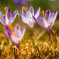 151: Spring Forward With Our Midseason Roundup!