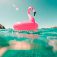 414: Holiday Extravaganza