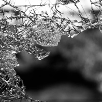 135: The EHG Crime Omnibus: Its Killer