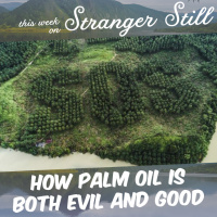 How Palm Oil is Both Evil and Good