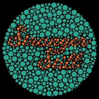 Why Does Jon Wear Christmas Colors Year-Round? (AKA Color Blindness)