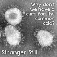 Why Don’t We Have a Cure for the Common Cold?