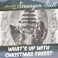 What’s Up With Christmas Trees?