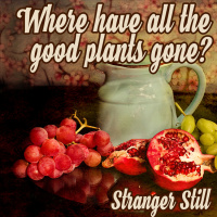 Where Have All the Good Plants Gone?