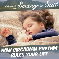 How Circadian Rhythm Rules Your Life