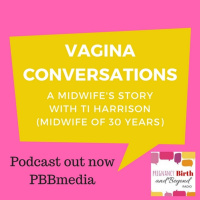 Vagina Conversations: A midwifes story.