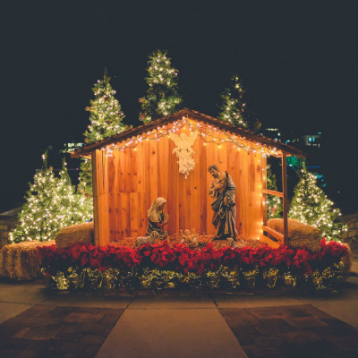 Pregnancy, Birth And Beyond