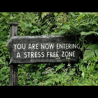 Ресурсы о зеленом образе жизни: The Greenville и Greenhunter (Выпуск 10) 