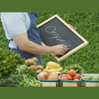 Эко-ресторан (7) 