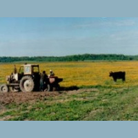 Биодинамическое хозяйство (19) 