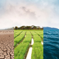 The Frozen Climate Views of the IPCC (Guest: Andy May)