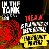 The U.N. Is Planning To Seize Global Emergency Powers - In The Tank #405