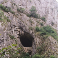 Whats In Kristins Colon