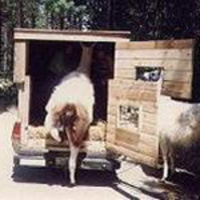 Lost Episode One: The Mat, Mike and Kristin Manifesto