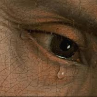 Contemplating the tears of Jesus