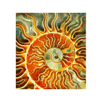 Summer Solstice 2013