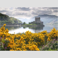 Coming Home: The Fourth House and Upbringing