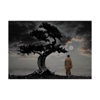 Moving Towards the Light: Transits and Consiousness