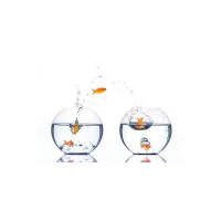 Relocation Astrology: The Art of the Move