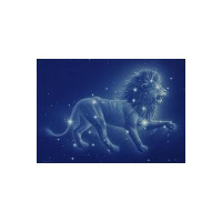 The Rulership of the Sun! Welcome Leo!